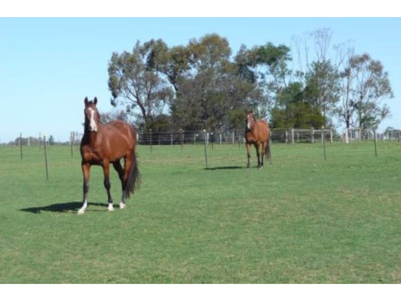 145 Lindenow South Fernbank Road, Lindenow South VIC 3875