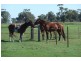 145 Lindenow South Fernbank Road, Lindenow South VIC 3875