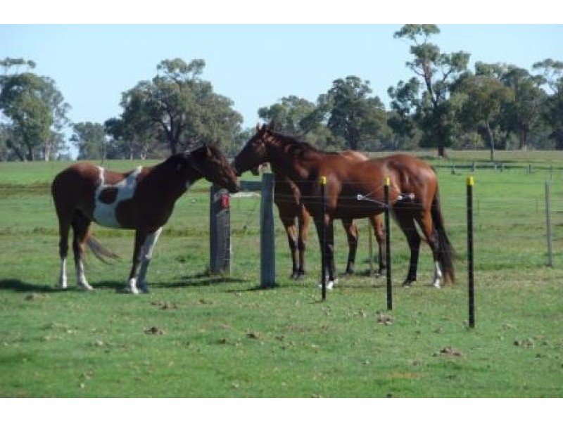 145 Lindenow South Fernbank Road, Lindenow South VIC 3875