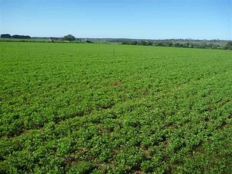 1820 Fernbank Glenaladale Road Iguana Creek, Fernbank VIC 3864