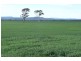 Bairnsdale VIC 3875