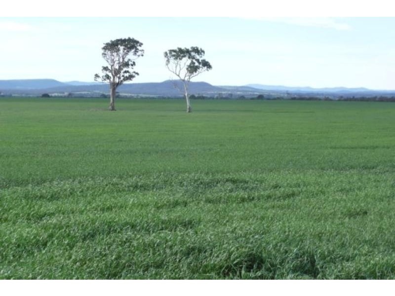 Bairnsdale VIC 3875