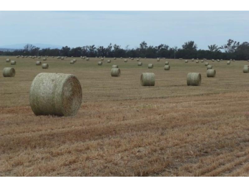 Bairnsdale VIC 3875