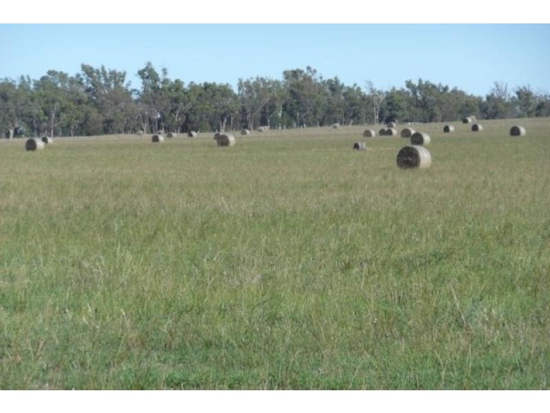 Bairnsdale VIC 3875