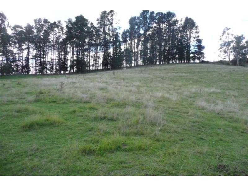 37 Woodgates Road, Buchan VIC 3885