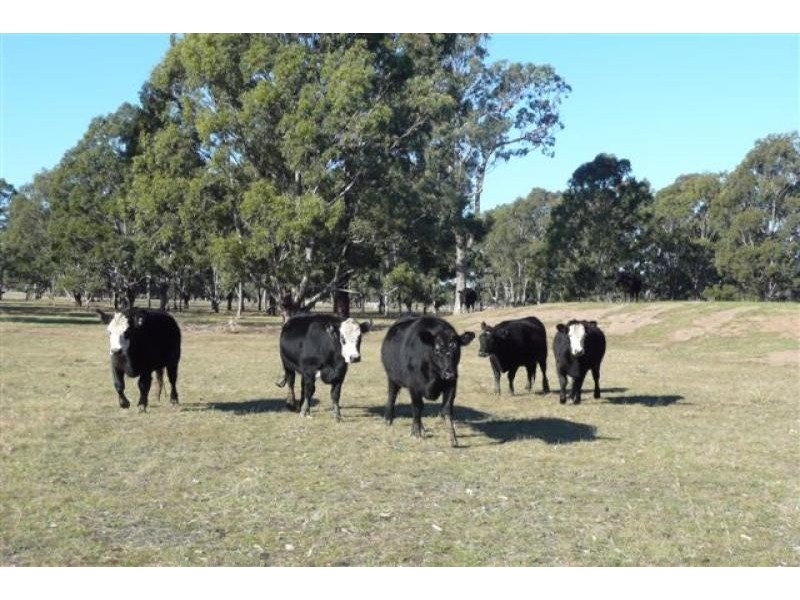 3/ Leathams Road, Bengworden VIC 3875