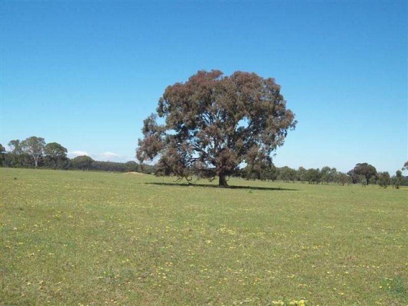 310 Redcourt Lane, Bairnsdale VIC 3875