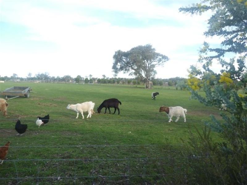 455 Scotts Lane, Hillside VIC 3875