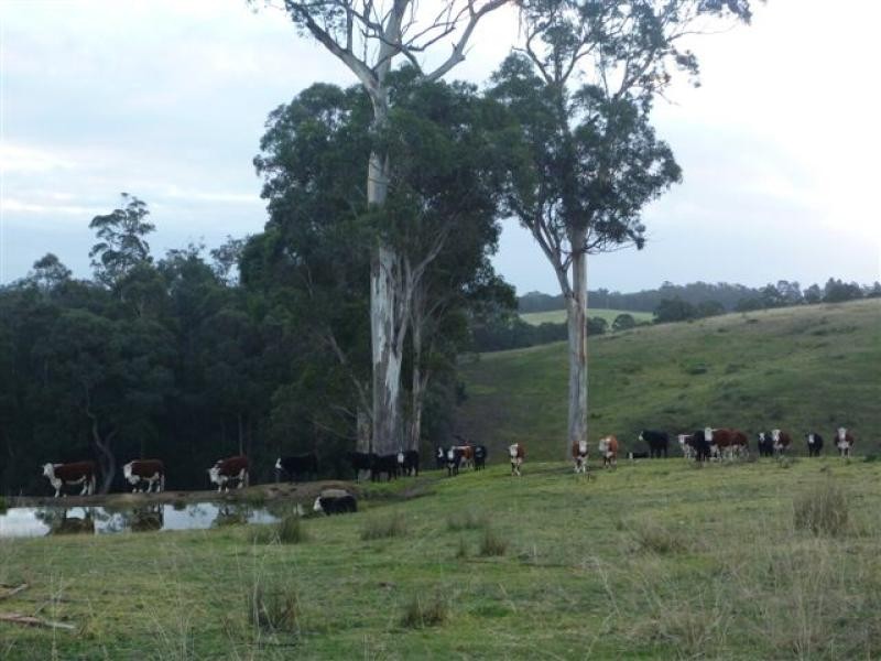 1090 Deptford Road, Clifton Creek VIC 3875