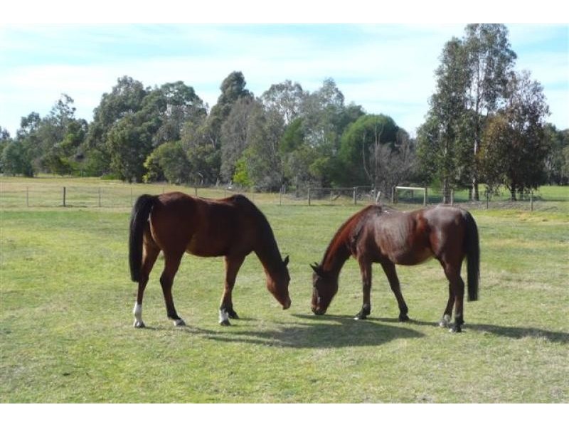 355 Fernbank Lindenow South Road, Lindenow South VIC 3875