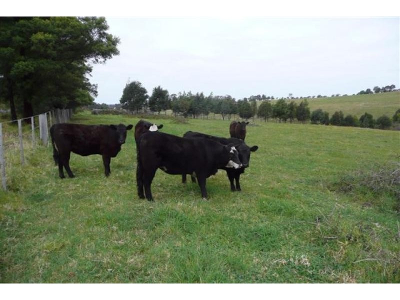 3/ Hodges Estate Road, Ellaswood VIC 3875