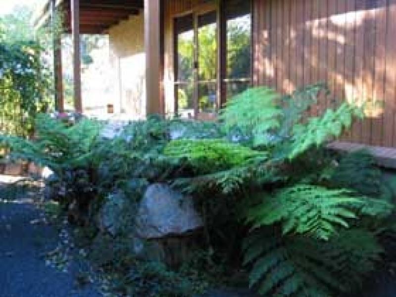 2 Sylvia Court, Mallacoota VIC 3892