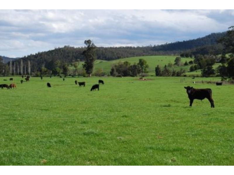 3059 Combienbar Road, Combienbar VIC 3889