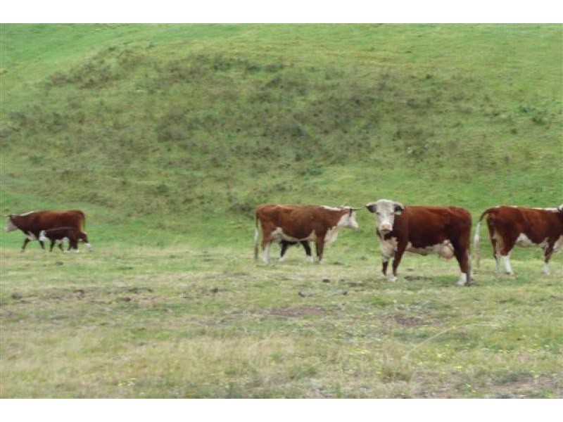 Clifton Creek VIC 3875