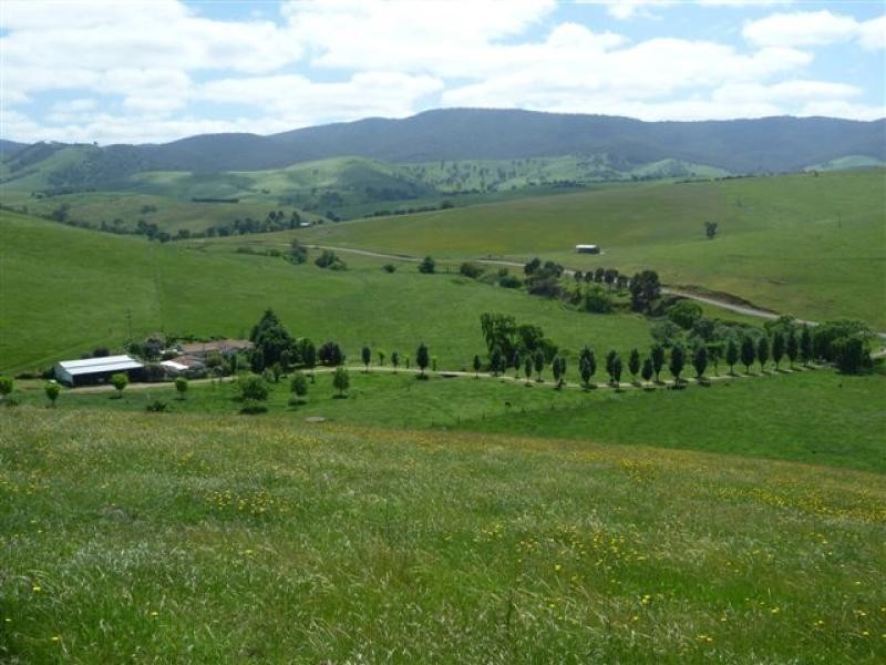 700 Reedy Creek Road, Ensay VIC 3895