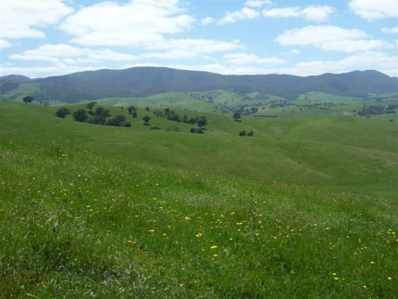 700 Reedy Creek Road, Ensay VIC 3895