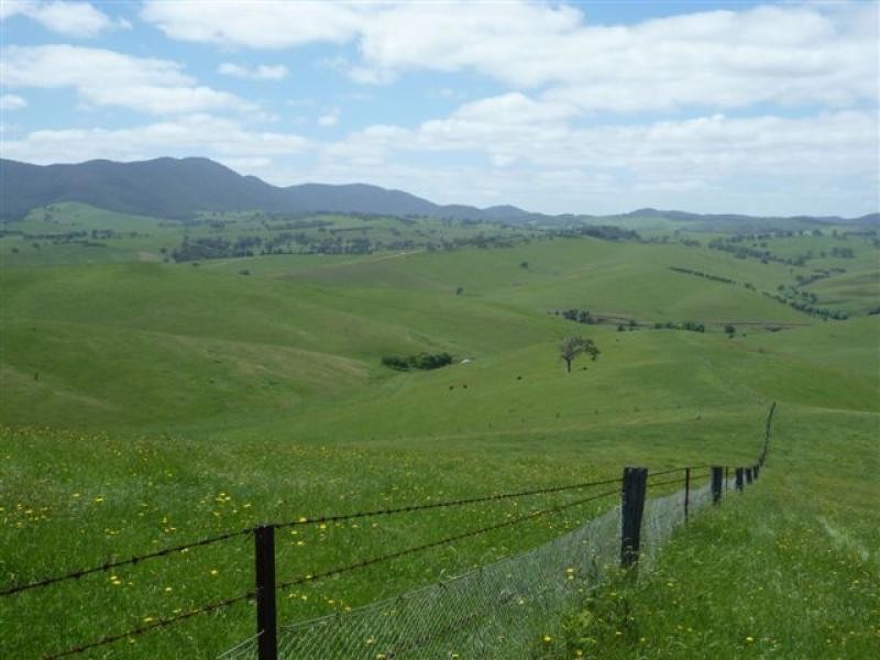 700 Reedy Creek Road, Ensay VIC 3895