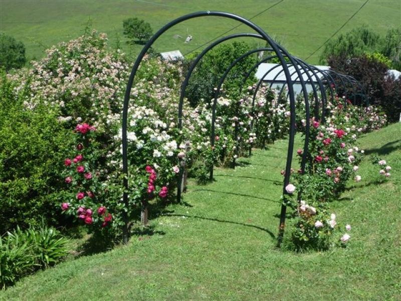 700 Reedy Creek Road, Ensay VIC 3895