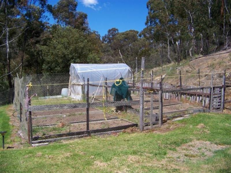 Swifts Creek VIC 3896