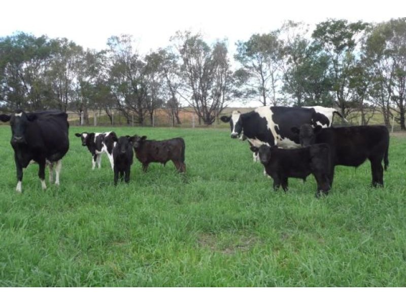 885 Bengworden Road, Bairnsdale VIC 3875