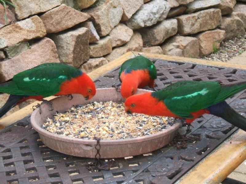 90 Deep Creek Road, Wiseleigh VIC 3885