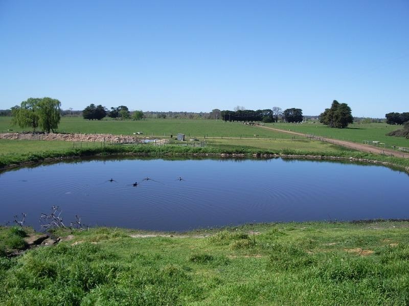 474A Back Valencia Creek Rd, Boisdale VIC 3860