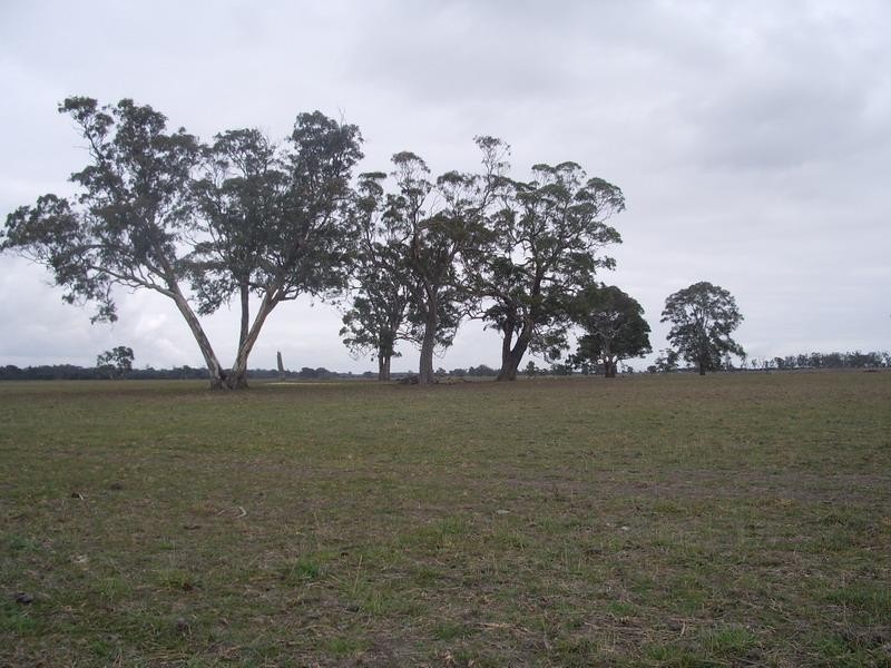 Glengarry North VIC 3854