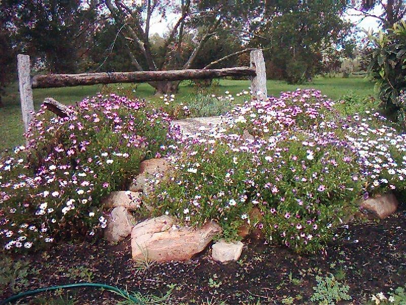 157 Dargo Road, Briagolong VIC 3860