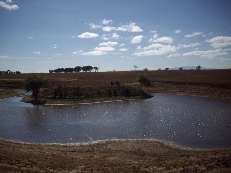 270 Flynns Creek Road, Flynn VIC 3844