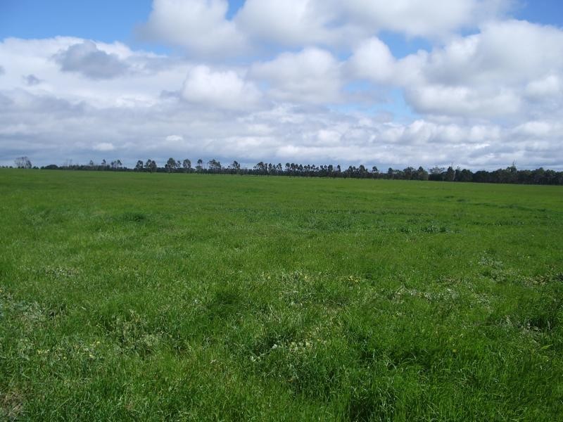 333 Roseneath Road, Meerlieu VIC 3862