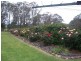 383 Wombat Road, Valencia Creek VIC 3860