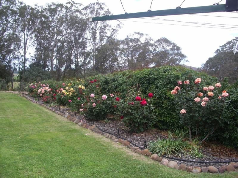 383 Wombat Road, Valencia Creek VIC 3860