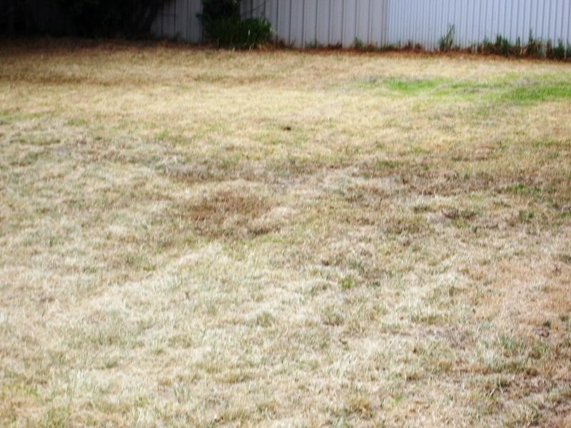 Lot 24 Mills Street, Heyfield VIC 3858