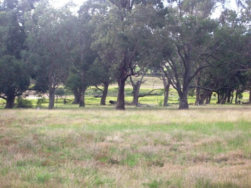 261 Luckmans Lane, Boisdale VIC 3860