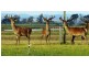 204 Luckman’s Road, Boisdale VIC 3860