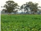 204 Luckman’s Road, Boisdale VIC 3860