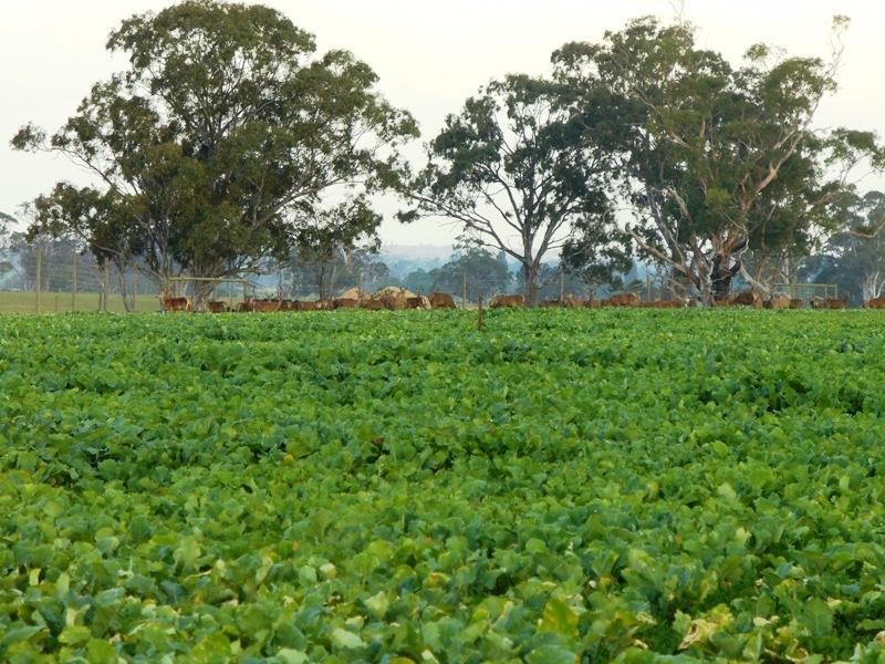 204 Luckman’s Road, Boisdale VIC 3860