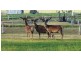 204 Luckman’s Road, Boisdale VIC 3860