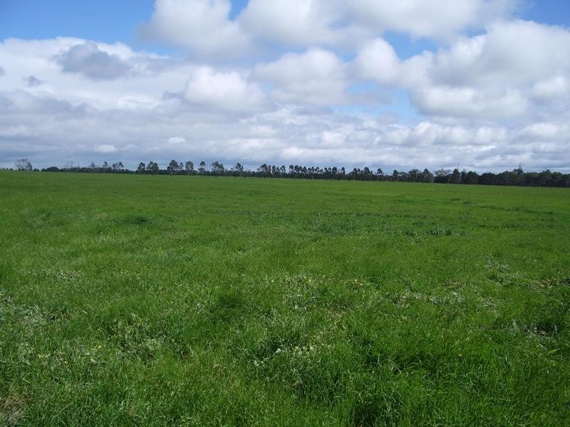 333 Roseneath Road, Meerlieu VIC 3862