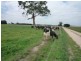 Cowwarr VIC 3857