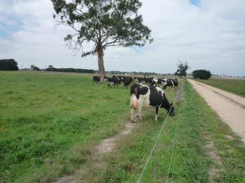 Cowwarr VIC 3857