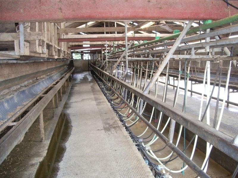 Cowwarr VIC 3857