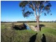 310 Maidens Road, Lindenow South VIC 3875