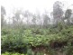 330 Link Road, Briagolong VIC 3860