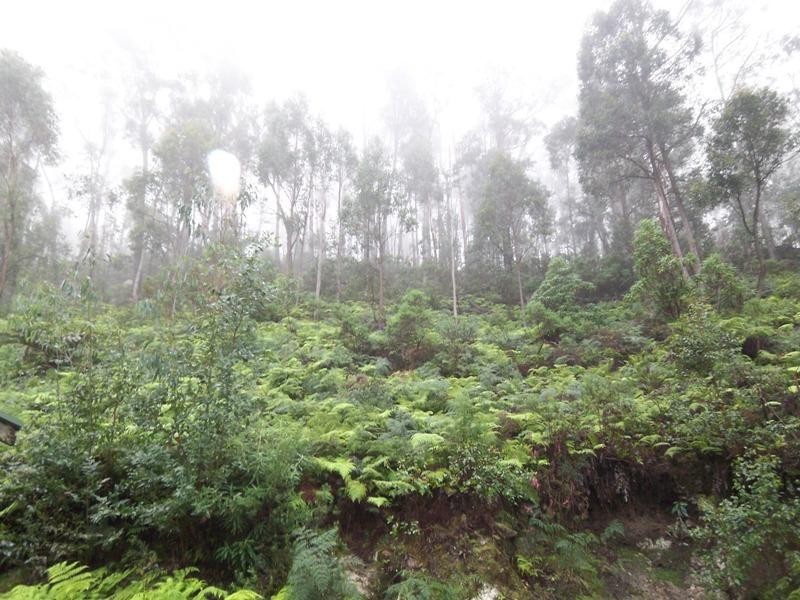 330 Link Road, Briagolong VIC 3860