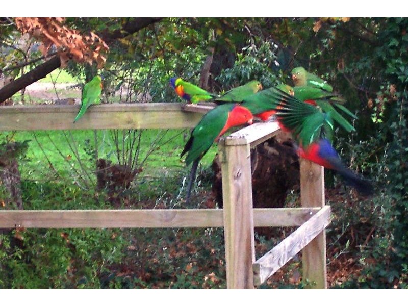 39 Smith Street, Briagolong VIC 3860