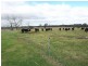 Longford VIC 3851