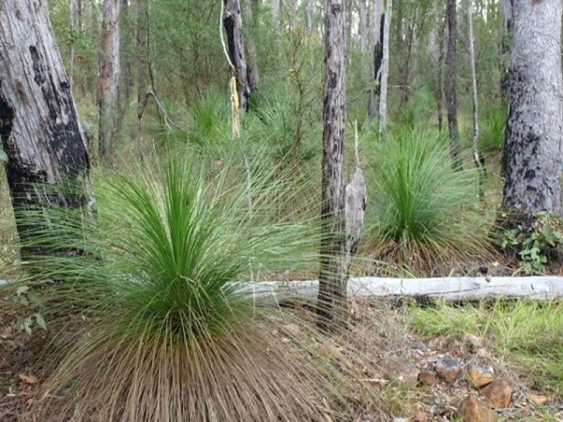 Lot 503 Mount French, Mount French QLD 4310