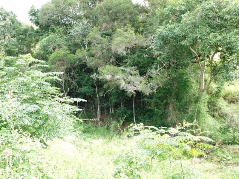 106 Sherlock Rd, Pine Mountain QLD 4306