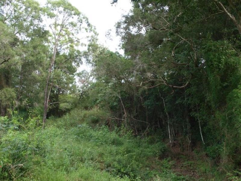 106 Sherlock Rd, Pine Mountain QLD 4306